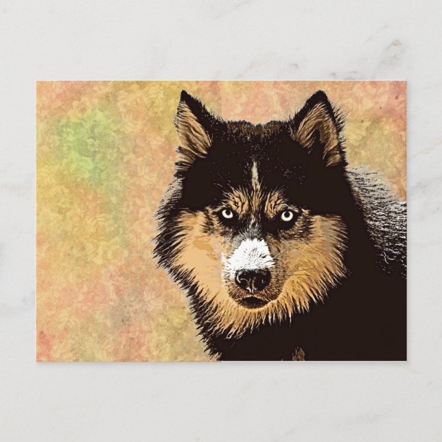 vykort för siberian husky (Framsida)