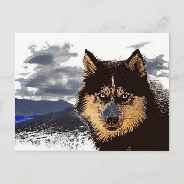 vykort för siberian husky (Framsida)