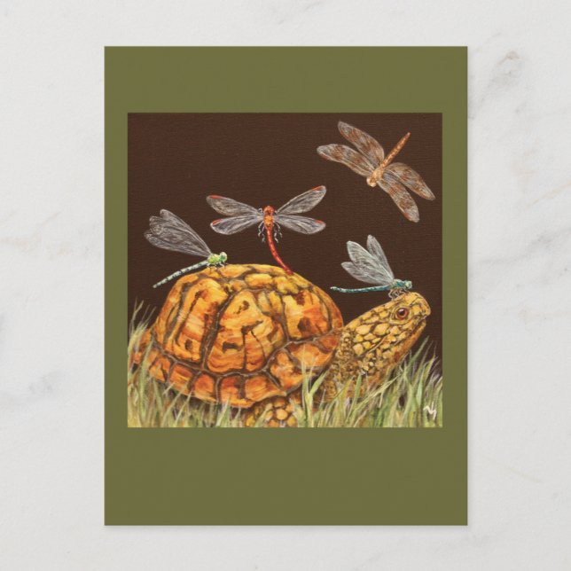 vykort för sköldpaddor i buss (Framsida)