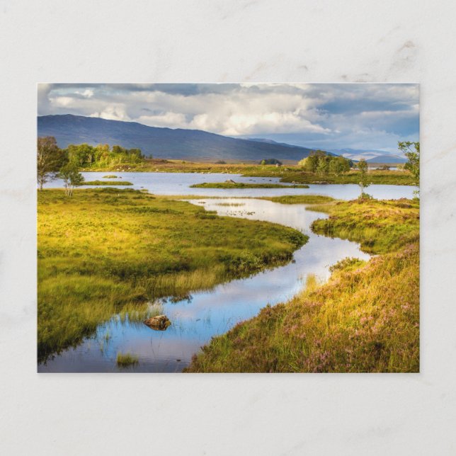 vykort för skotska höglandslandskapet (Framsida)