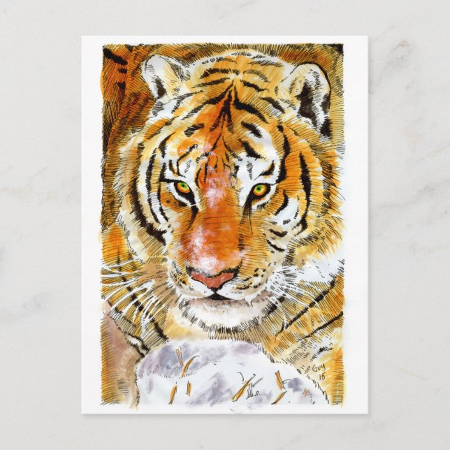 vykort för snö Tiger (Framsida)
