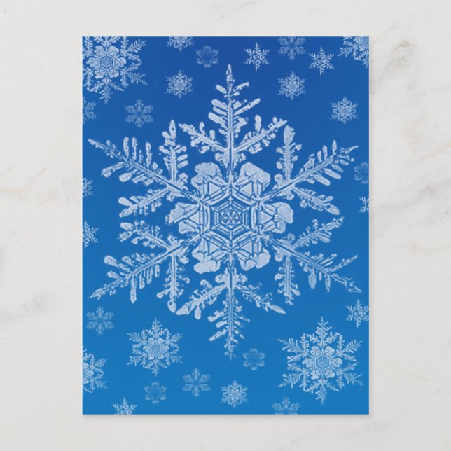 vykort för snöflake (Framsida)