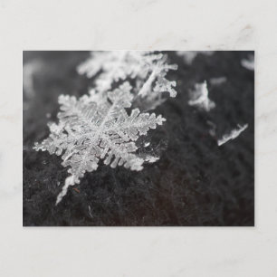 vykort för snöflake
