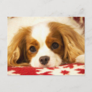 Vykort för Spaniel för kung Charles för Snowflake