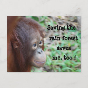 vykort för spara Wildlife och Rainforest