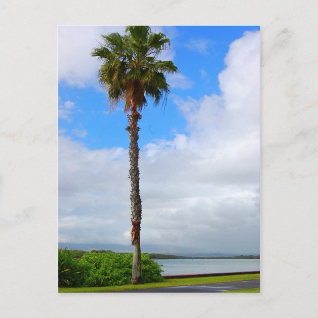 vykort för "Stående tall" (Framsida)