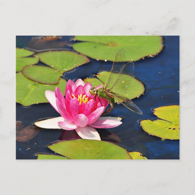 vykort för Stollig (Framsida)