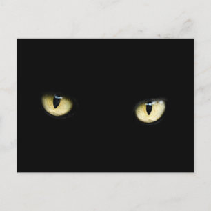 vykort för svart katt-öga