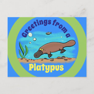 vykort för tecknad under vatten av den akuta platy