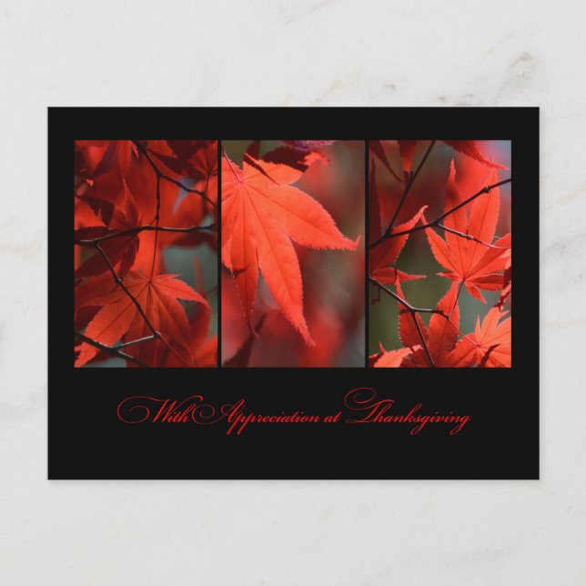 vykort för Thanksgiving (Framsida)