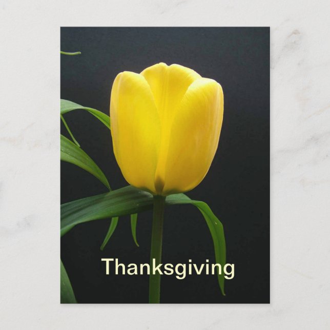 vykort för thanksgiving av gult (Framsida)