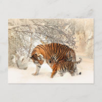 vykort för tiger mamma och baby