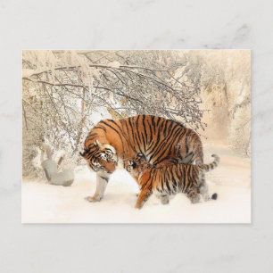 vykort för tiger mamma och baby