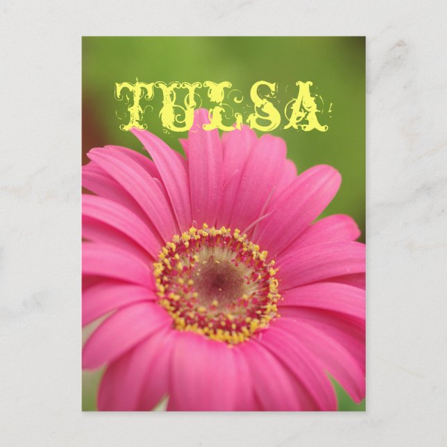Vykort "för Tulsa" rosa Gerberadaisy (Framsida)