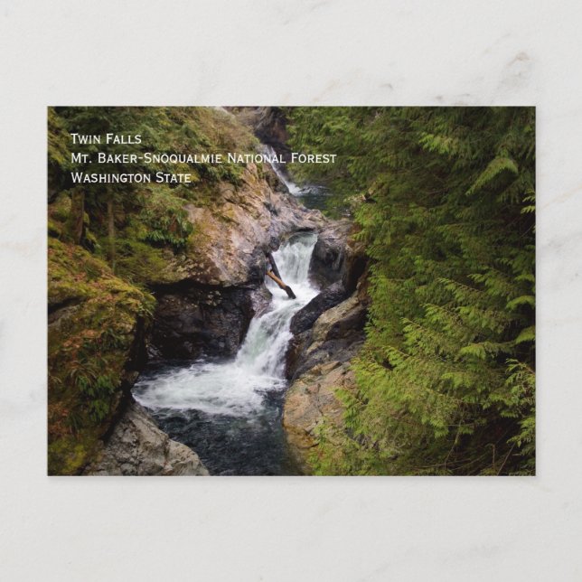 Vykort för tvillingfack (Framsida)