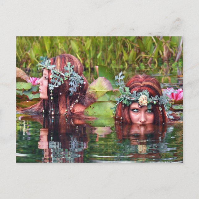 Vykort för uppsamlare (Framsida)