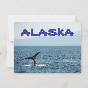 vykort för val Svan Scenia Alaska