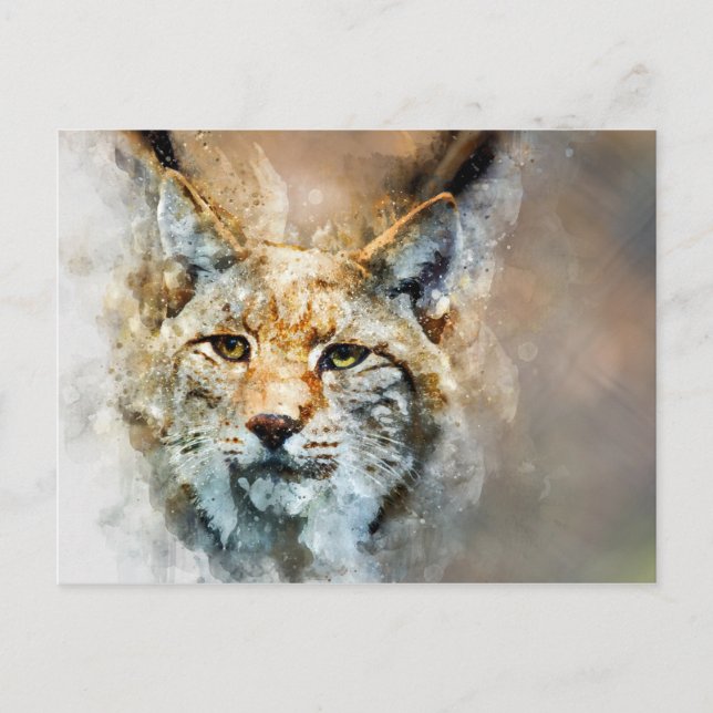 vykort för vild katt (Framsida)