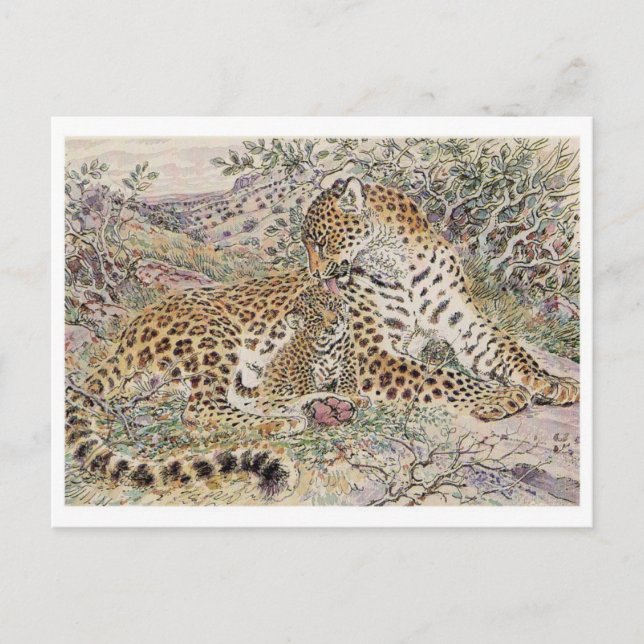 vykort för vintage (Framsida)