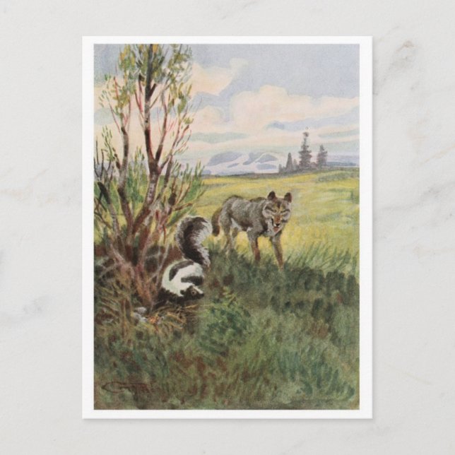 vykort för vintage (Framsida)