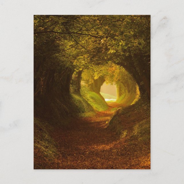 vykort för vintage (Framsida)