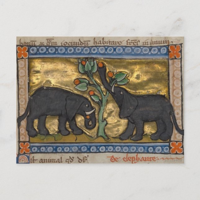 vykort för vintage (Framsida)