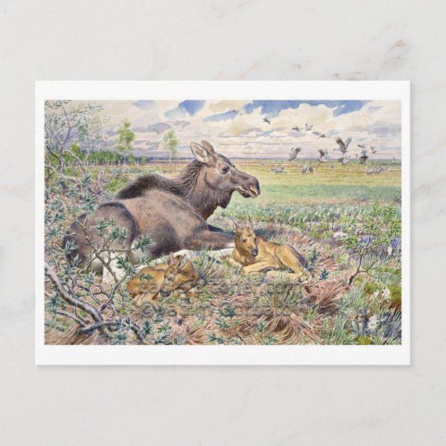 vykort för vintage (Framsida)