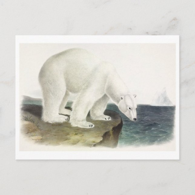 vykort för vintage (Framsida)