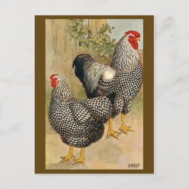 vykort för vintage (Framsida)