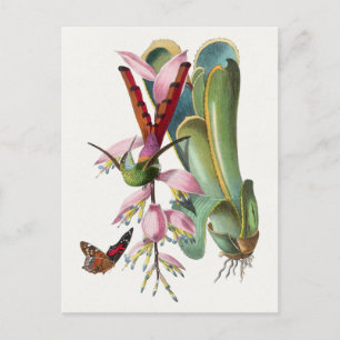 vykort för vintage fågelillustration