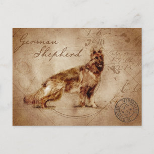vykort för vintage german shepherd