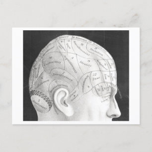 vykort för vintage Phrenology Diagram