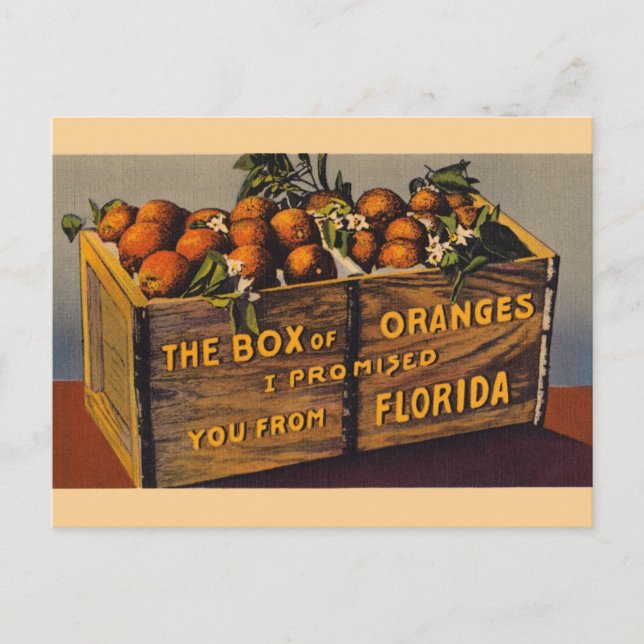 Vykort för vintageFlorida orangar (Framsida)