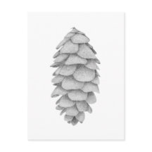 vykort för vit Spruce Cone-helgdag