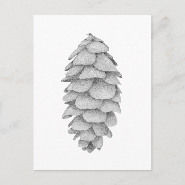 vykort för vit Spruce Cone-helgdag (Framsida)
