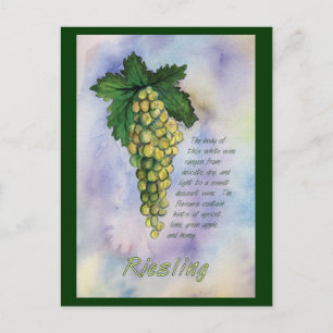 vykort för vita druvor av Vin från Riesling