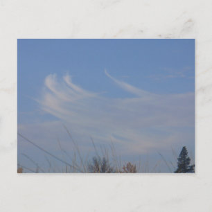 vykort för Whimsicing Clouds