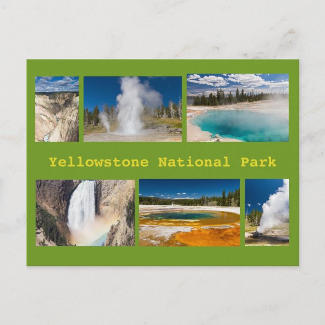 Vykort för Yellowstone nationalparkCollage (Framsida)