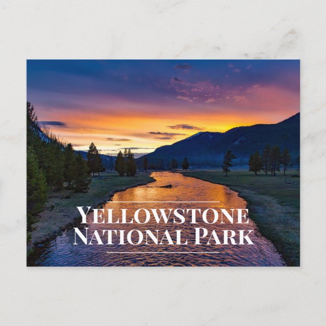 Vykort för Yellowstone nationalparksouvenir (Framsida)