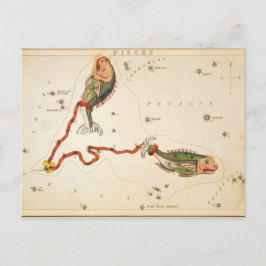 vykort för "Zodiac Sign: Pisces"