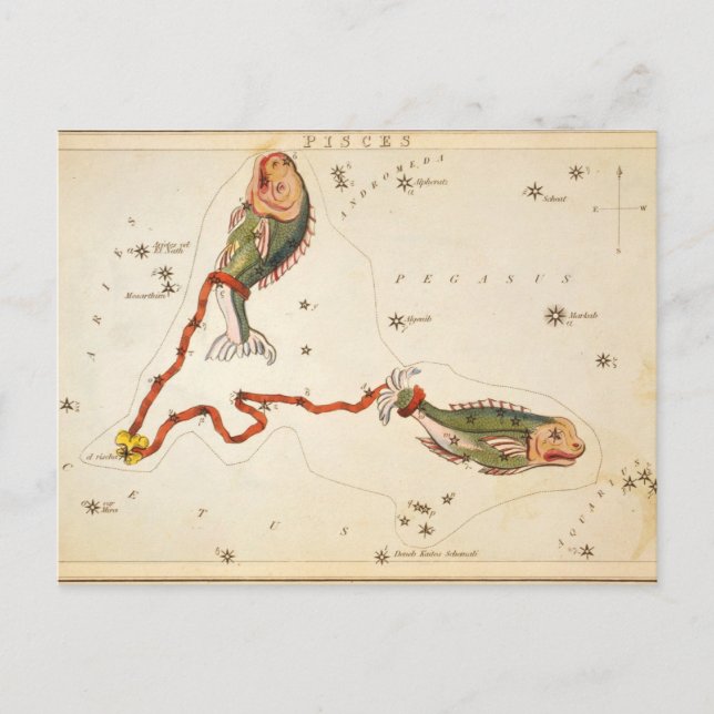 vykort för "Zodiac Sign: Pisces" (Framsida)
