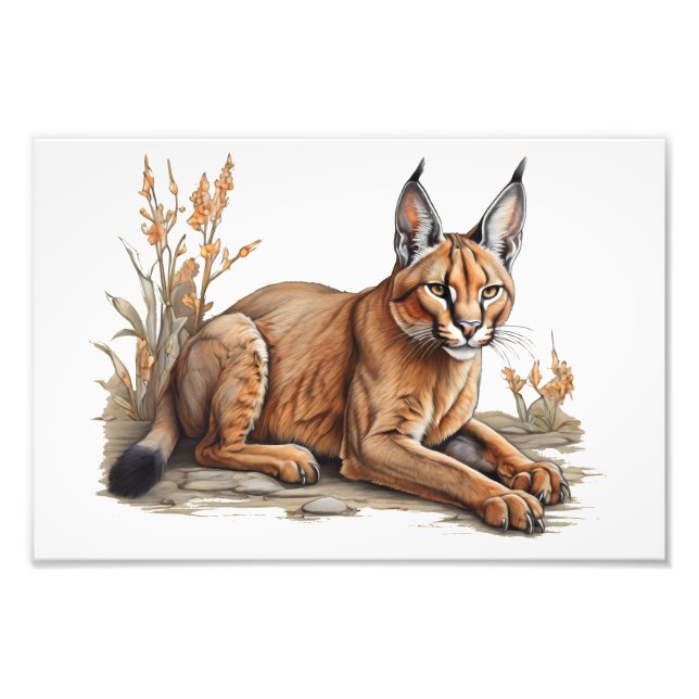 vykort fototryck (Framsidan)