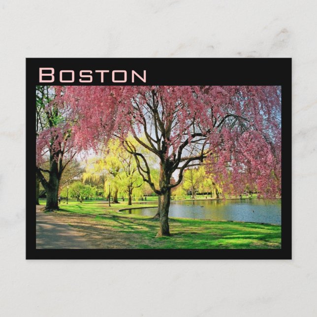 Vykort från Boston Common (Framsida)