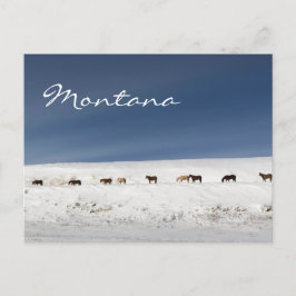 vykort från Montana