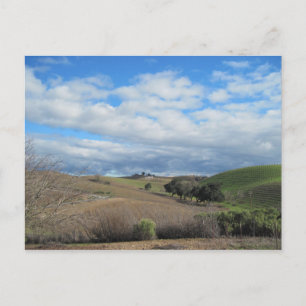 Vykort från Paso Robles Vineyard i januari