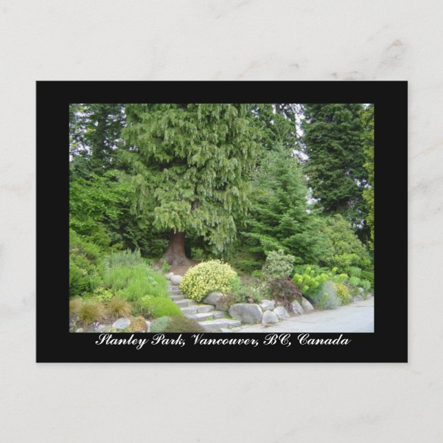 Vykort från Stanley Park, Vancouver, BC (Framsida)