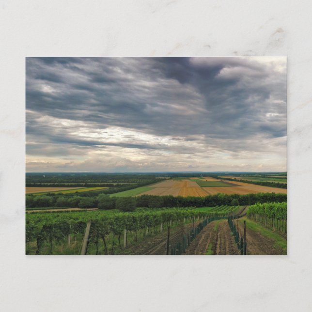 Vykort "Griffin" (Framsida)