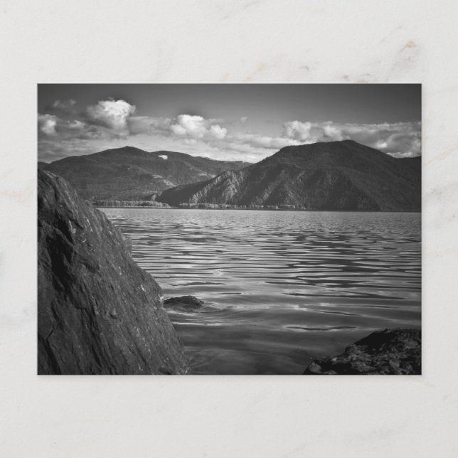 VYKORT ~ Gröna monarker längs sjön Pend Oreille (Framsida)