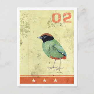 vykort "Grönt Bird"