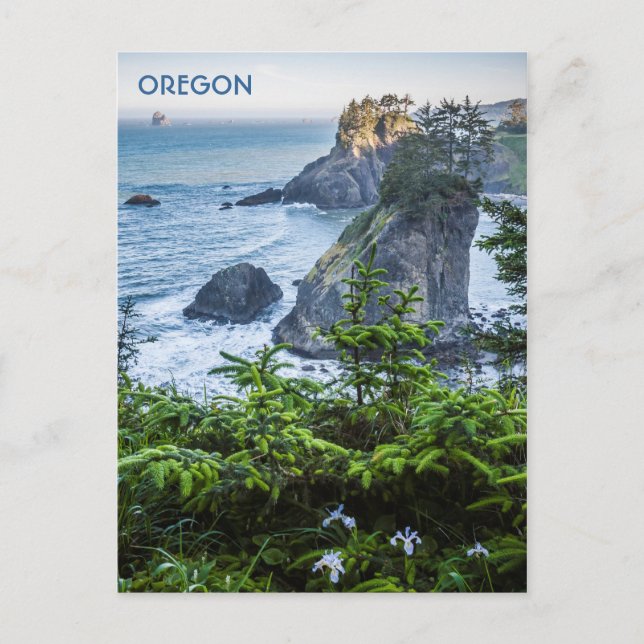 vykort: Havsstackar och ris (Porträtt) Vykort (Framsida)